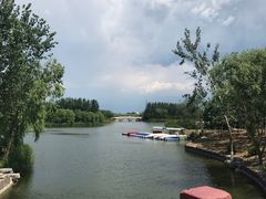 -大兴滨河森林公园