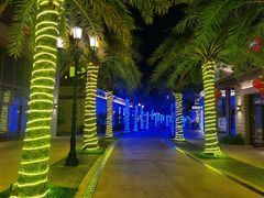 -三亚海昌梦幻海洋不夜城