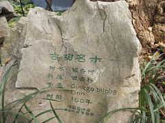 -绮园景区