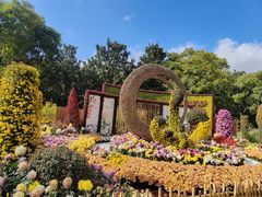 -上海共青森林公园