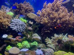 -珠海长隆海洋王国