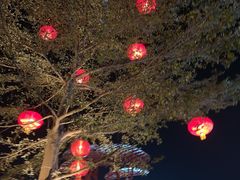 -欢乐海岸水秀剧场