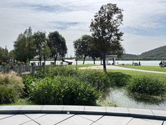 -西山漾湿地公园