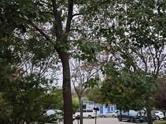 -上海月湖雕塑公园