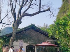 -村上春树