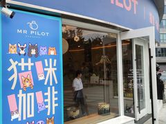 门面-飞行喵MR PILOT|猫舍·猫咖(静安大融城店)