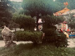 -洛阳市牡丹公园