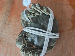 -阳澄湖大闸蟹·琼灵阁牌品牌连锁(吴中总店)