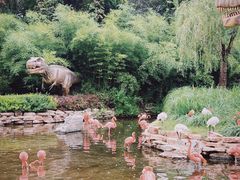 -北京野生动物园