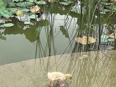 -木塔寺遗址生态公园
