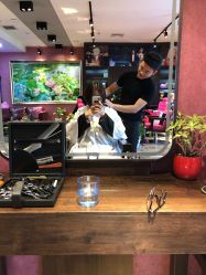-mod's hair