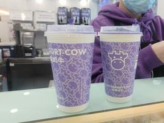 -一只酸奶牛(洪崖洞11楼店)