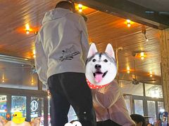 -HIB HUB公社(解放西路店)