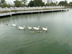 -顺德职业技术大学