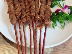 -鱼乐乐(Happy Fish)