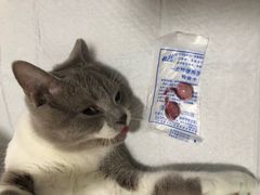 -灵美宠物诊所