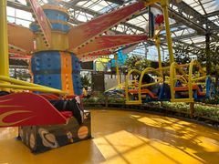 -南宫五洲植物乐园