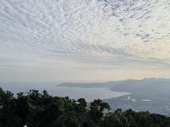 -三亚亚龙湾人间天堂鸟巢度假村