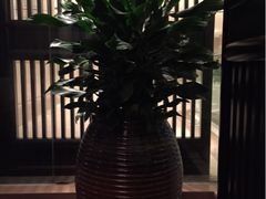 iphone_upload_pic-南苑环球酒店-稻菊日式餐厅(鄞县大道店)