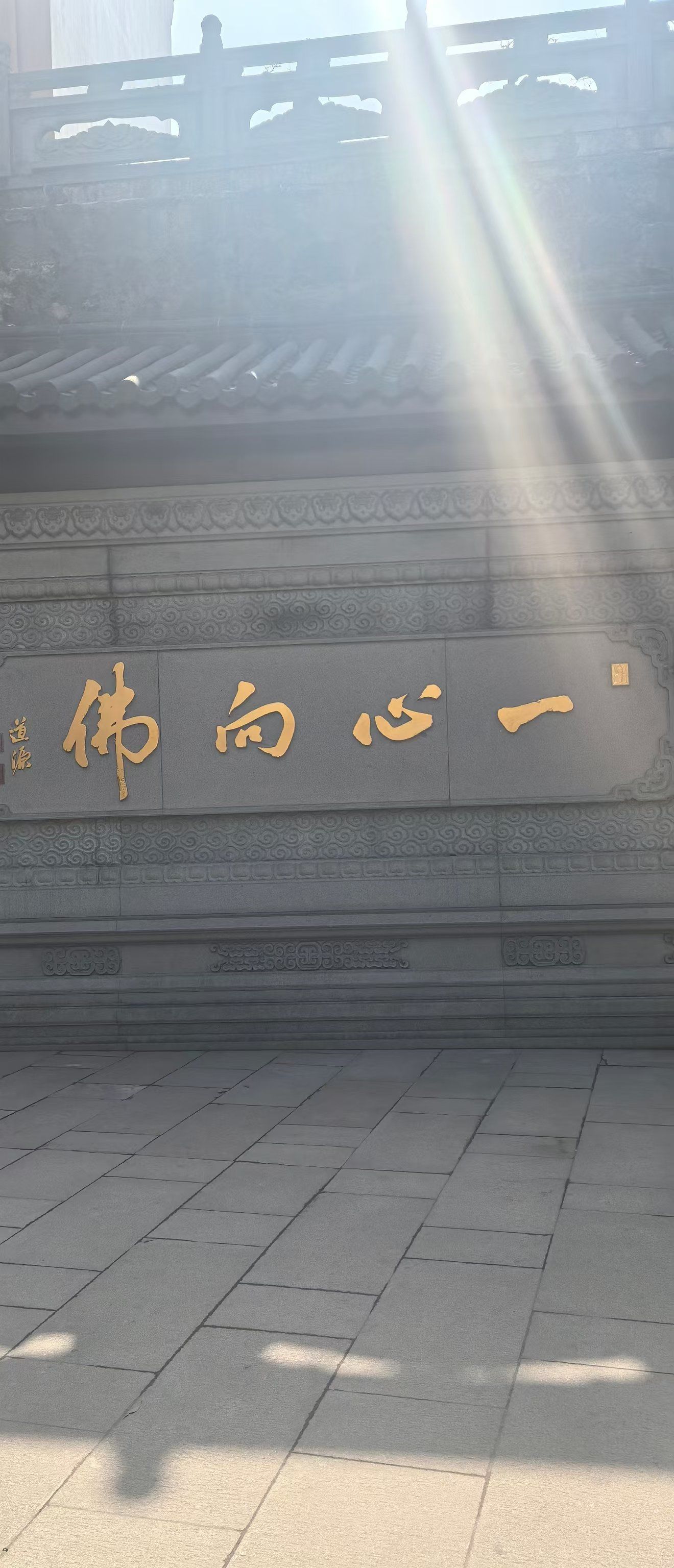 今日打卡祈福地九华山