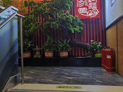 -洞庭家宴·头牌甲鱼(广渠门店)