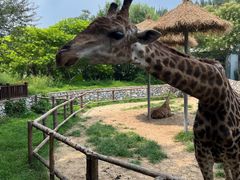 -北京野生动物园