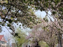 -天津五大道文化旅游区