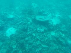 -中央格兰德岛温泉度假酒店 - 全包