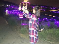 -大塘金香草谷
