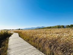 -野鸭湖国家湿地公园