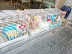 -后海16号·北京私房菜