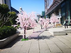 -大洋晶典(东街店)