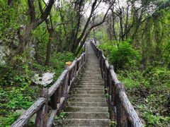 -秦岭终南山世界地质公园翠华山景区