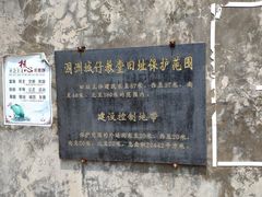 -涠洲岛-圣母堂