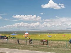 -青海湖国家重点风景名胜区