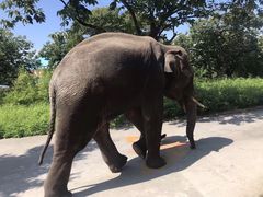 -西安秦岭野生动物园