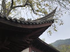 -韬光茶庵