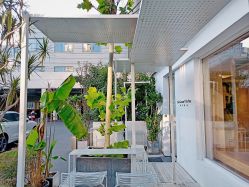 -Hair  Gallery
