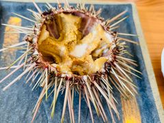 -海胆小馆(东北水饺·春柳店)