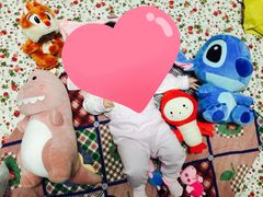 -PAWTOY爪e玩偶店(天兴罗斯福店)