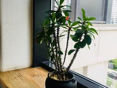 -瓦库茶馆17号(海汇港店)
