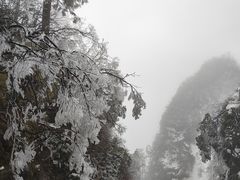 -峨眉山风景名胜区