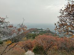 -北京西山国家森林公园