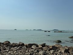 -野狸岛