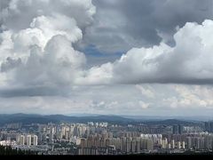 -长虫山生态公园风景林