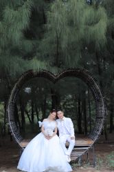 点击看大图 -金夫人婚纱摄影(华南店)