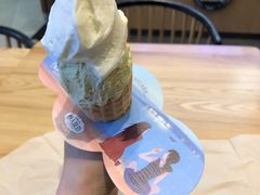 -野人先生现做冰淇淋(北京环宇荟店)