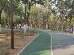 -回龙观体育文化公园