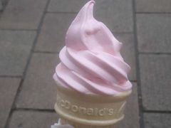 樱花2014-麦当劳(塔园路店)