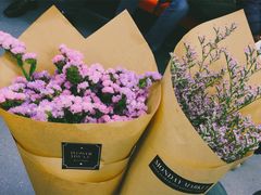 -双季花艺园艺市场(浦东店)